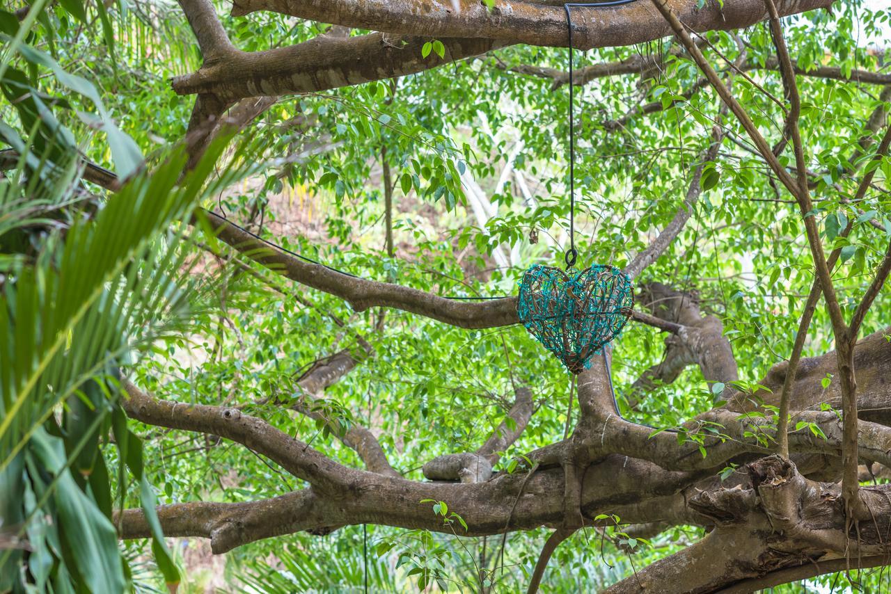 Amor Boutique Hotel Sayulita Extérieur photo