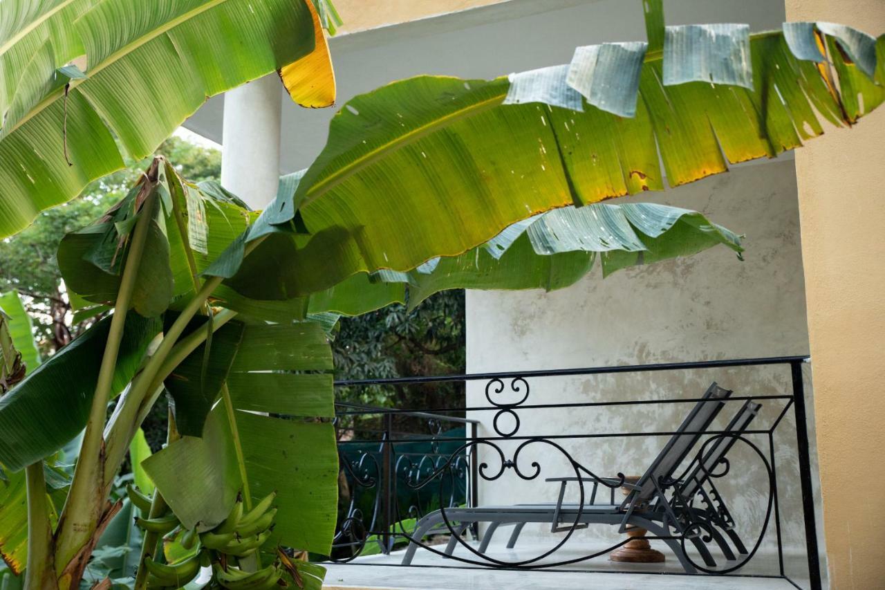 Amor Boutique Hotel Sayulita Extérieur photo